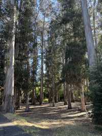 UC Berkeley加州大學柏克萊分校 | 公立名校朝聖之旅 🐻