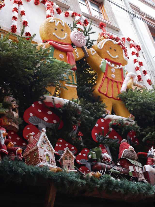 【まるで絵本の世界】フランス、ストラスブール ロマンティックすぎる本場クリスマス