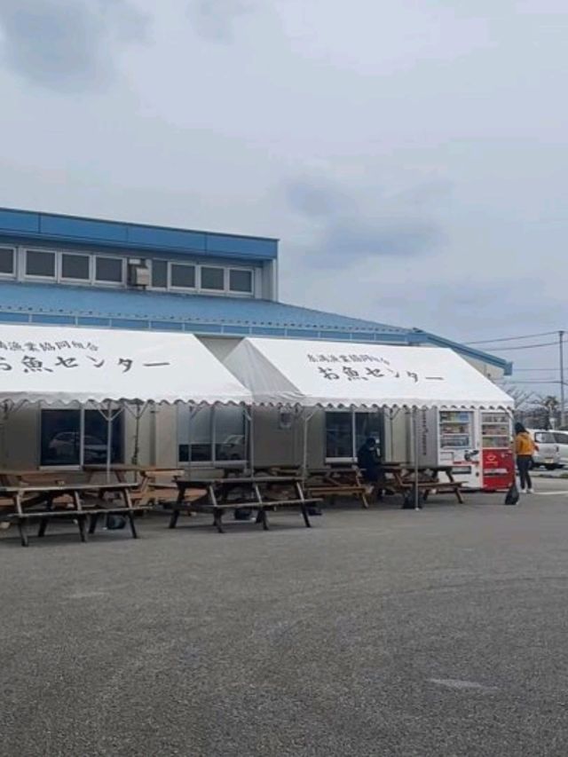 🇯🇵日本沖繩必去景點（九） 系滿漁市場！鮮