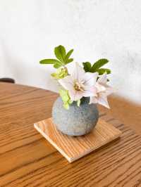 【福岡カフェ】木工とカフェが楽しめるお店