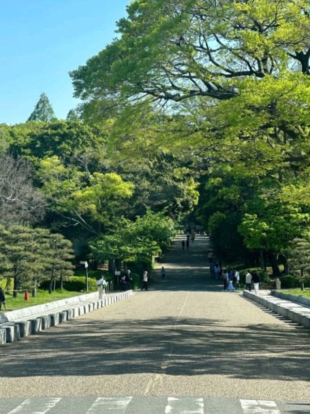 🏯🇯🇵日本大阪必去景點（一）大阪城公園