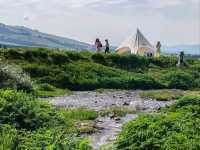 Nalati Scenic Area：Lush Green Grasslands