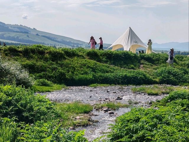 Nalati Scenic Area：Lush Green Grasslands