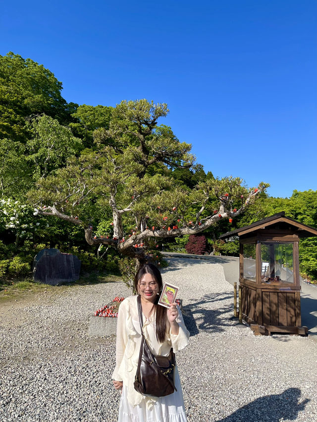 วัดดารุมะ Katsuoji temple