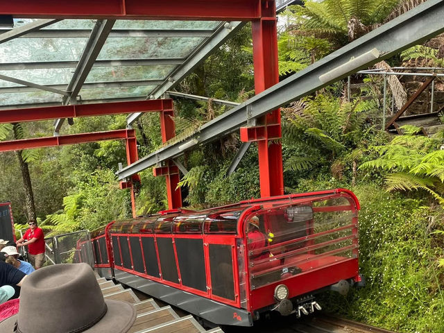 雪梨近郊景點 藍山公園 叢林列車