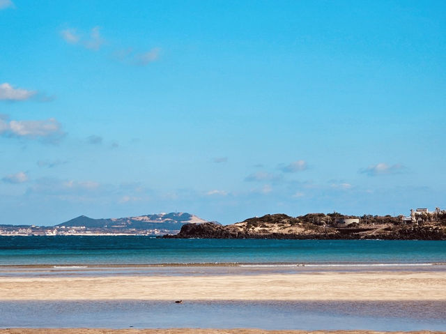 A Photographer's Canvas of Dynamic Coastal Action