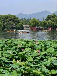 Lotus at Xiling Bridge– Hangzhou’s Most Literary Waterscape