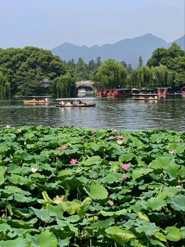 Lotus at Xiling Bridge– Hangzhou’s Most Literary Waterscape