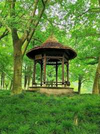Prince Bay Park: Hangzhou’s Emerald Sanctuary
