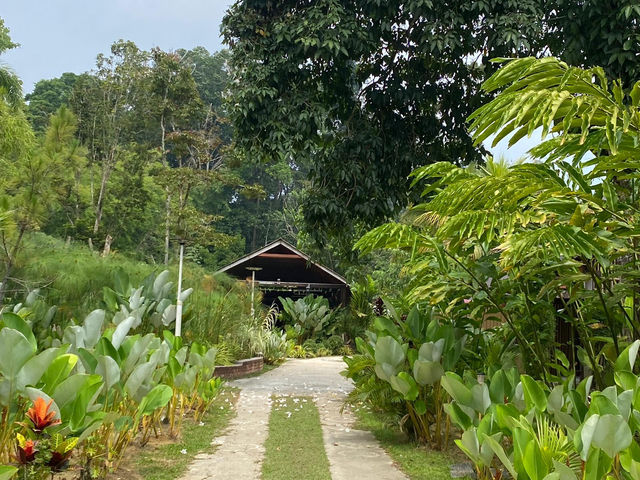 Staycation Bliss at Wadi Amna, Janda Baik