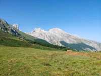 Rolling Hills and Cow Bells at Collado de Pandébano