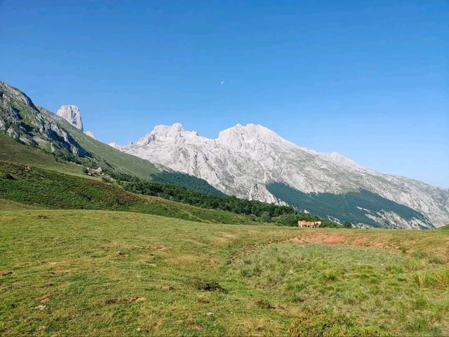 Rolling Hills and Cow Bells at Collado de Pandébano