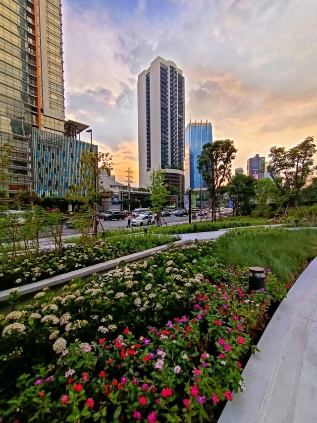 บรรยากาศสวนสวยตึกพาเหรด