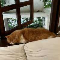 คาเฟ่บ้านดิน mood ดี