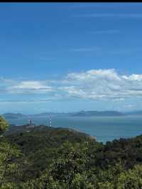 🌿【牛窓オリーブ園】“日本のエーゲ海”で過ごす、癒しと絶景のオリーブ旅