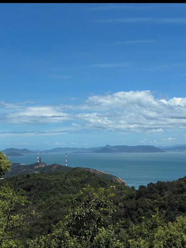 🌿【牛窓オリーブ園】“日本のエーゲ海”で過ごす、癒しと絶景のオリーブ旅