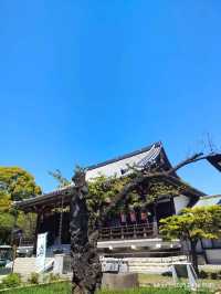 สุ่มเครื่องราง 東叡山寛永寺開山堂 Ueno park