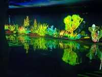 Enchanted forest light show at the Greenhouse
