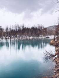 無論世界多麼冰冷， 只要心裡有光， 就能溫暖一切。《宮澤賢治》