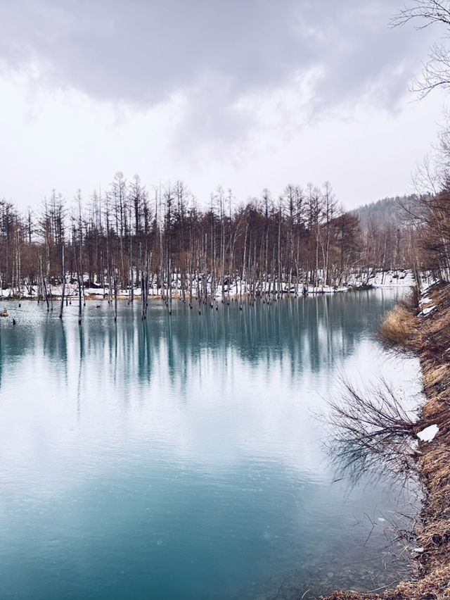 無論世界多麼冰冷， 只要心裡有光， 就能溫暖一切。《宮澤賢治》