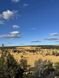 Pinnacles Desert- Out of this world view
