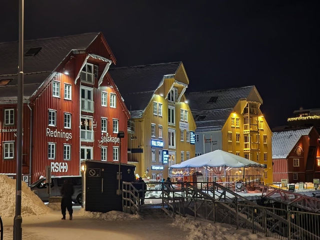 Northern Lights and Arctic Wonders in Tromsø
