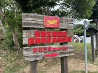 宜蘭景點分享 伯朗咖啡館 - 城堡一門市