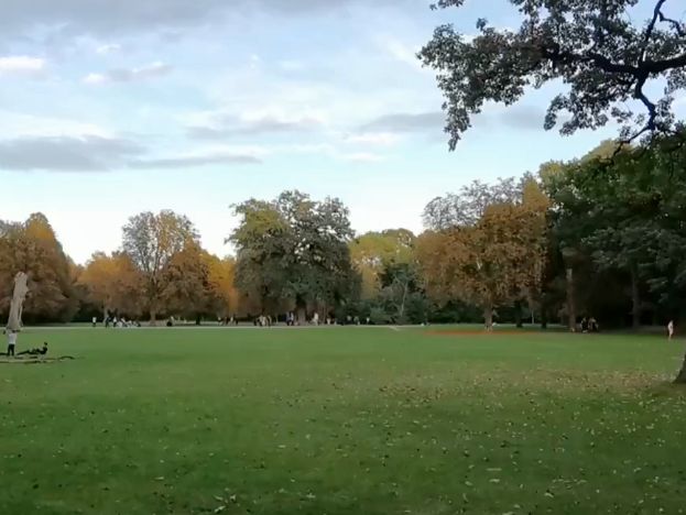 🍺緑に囲まれた絶品ビアガーデン「ミュンヘン ヒルシュガルテン」🌳 