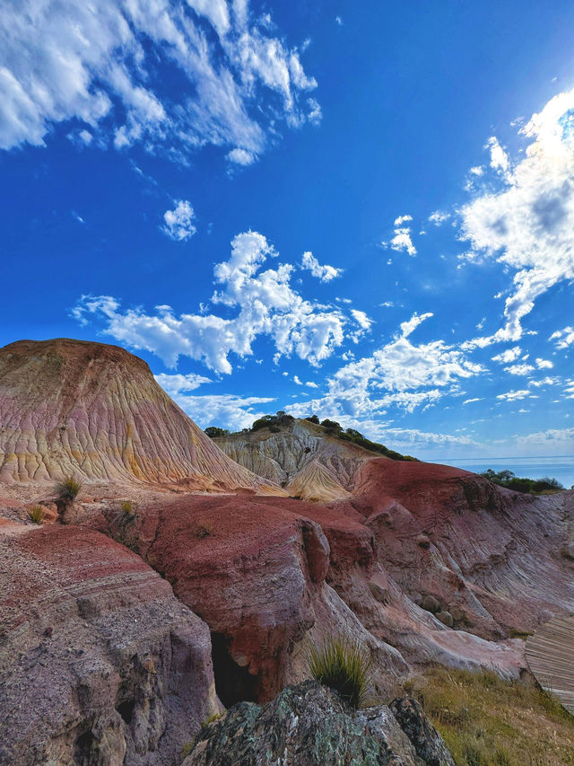 【Hallett Cove Conservation Park｜地質奇觀與海岸漫步的完美融合】