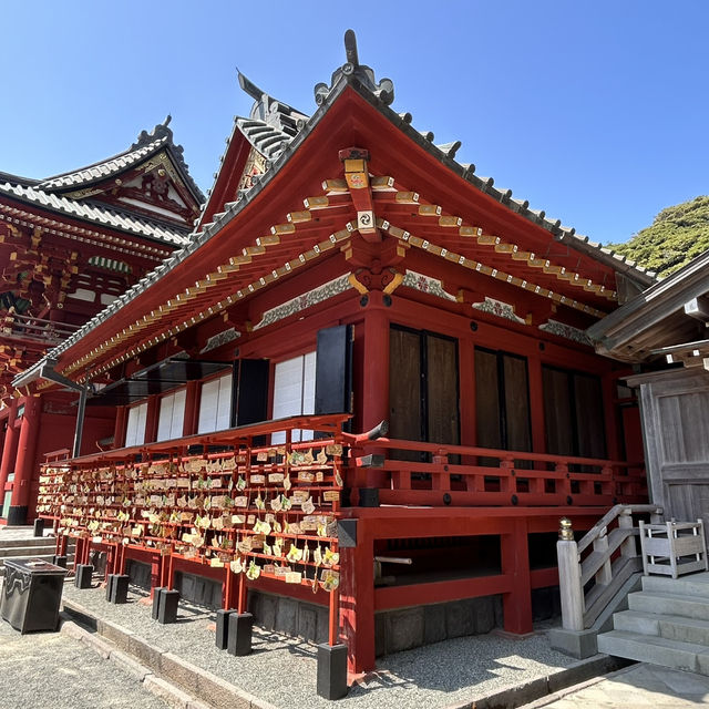 The Soul of Kamakura: A Solo Visit to Tsurugaoka Hachimangu Shrine ⛩️
