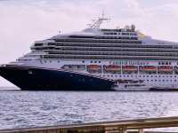 미스터트롯3 TOP7과 함께한 환상의 크루즈 여행, 카탈리나 섬과 엔세나다에서 선상 갈라쇼까지!