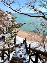 ❄️ Weihai in Winter Guide 🩵🌊✨