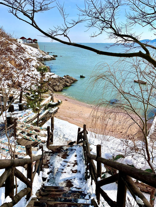 ❄️ Weihai in Winter Guide 🩵🌊✨
