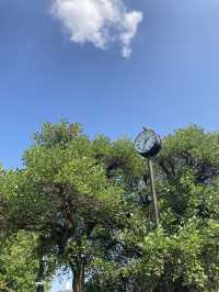 【東京・上野】東京観光では外せない!定番スポットの上野恩賜公園