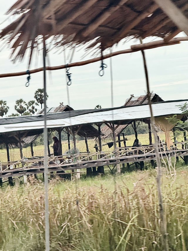 ร้านอาหารใจกลางทุ่งนา🌾 ร้านอาหารใจกลางทุ่งนา🌾