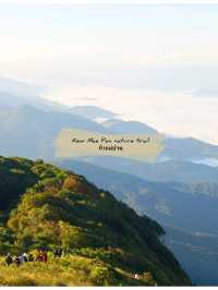 🌳 : Kew Mae Pan nature trail กิ่วแม่ปาน เชียงใหม่