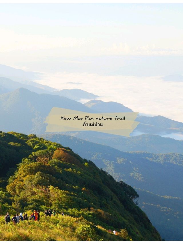 🌳 : Kew Mae Pan nature trail กิ่วแม่ปาน เชียงใหม่