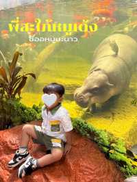 สวนสัตว์เปิดเขาเขียว จังหวัดชลบุรี