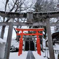 ปราสาทนกกระเรียน ❄️ Tsuruga Castle