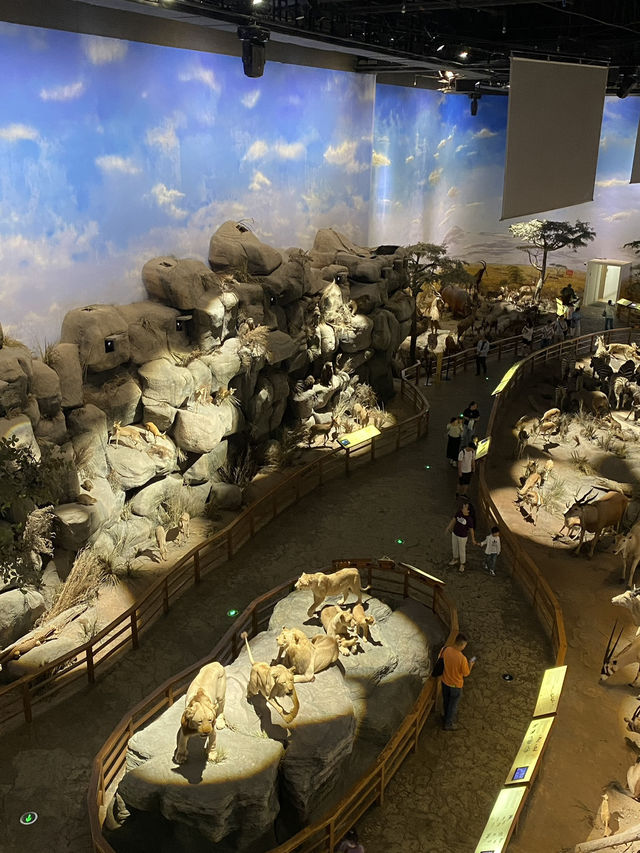 Shanghai Natural History Museum 🦖🦕🐘🦌🦒🦏🦥