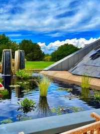 Botanic Bliss🌿 Denver Botanic Gardens – A Living Tapestry of Nature🌱