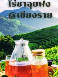 ไร่ชาฉุยฟง @เชียงราย