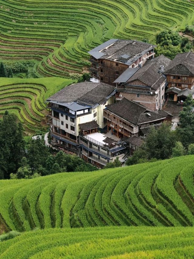 A Living Canvas: Longji Through Time and Season