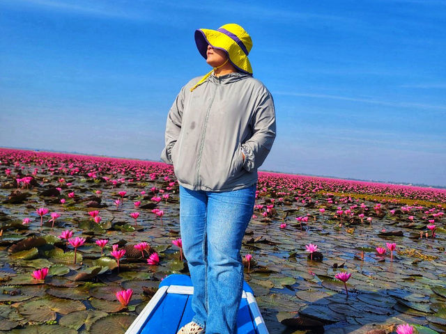 ทะเลบัวแดง