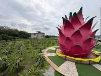Dragon Fruit Eco Farm