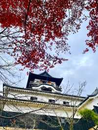 躲過戰火的現存最古老木造天守閣--愛知犬山城