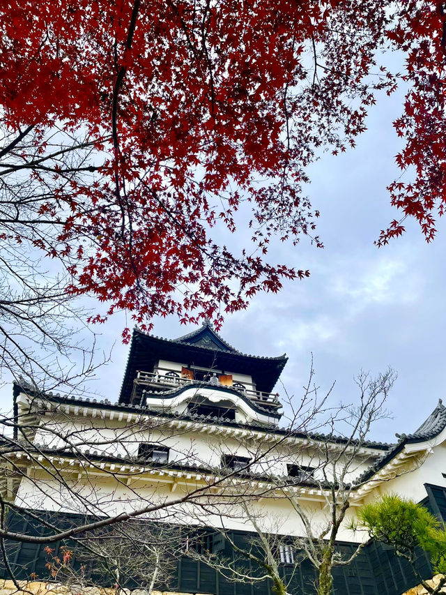 躲過戰火的現存最古老木造天守閣--愛知犬山城