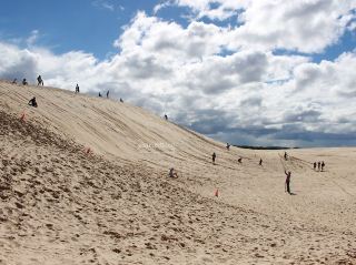 Port Stephens Sand Sledding Tour Guide, Australia 🏖️🏄‍♂️