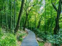 上海🇨🇳余山國家旅遊度假區