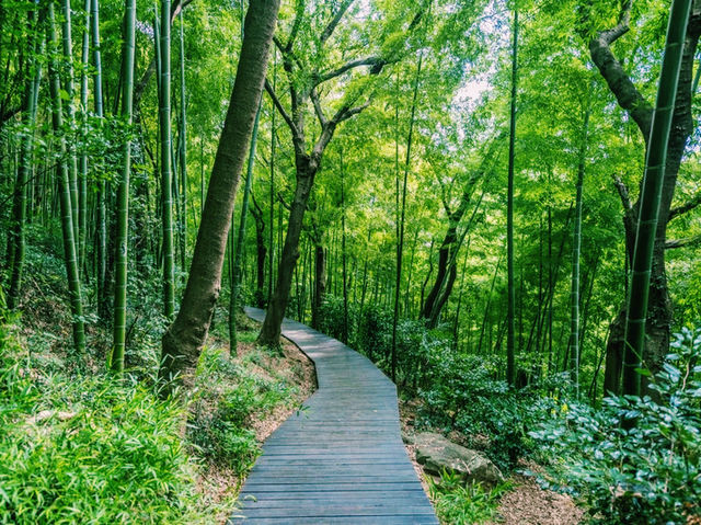 上海🇨🇳余山國家旅遊度假區